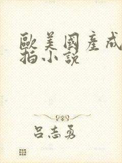 欧美国产成人自拍小说封面