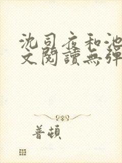 沈司夜和池茵全文阅读无弹窗笔趣阁封面