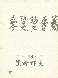 盛势的原著小说全文免费阅读