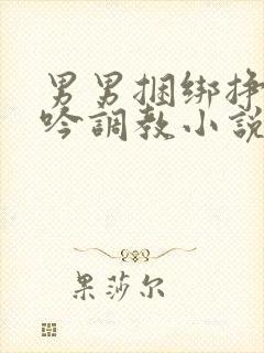 男男捆绑挣扎呻吟调教小说