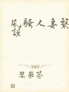 风骚人妻系列小说