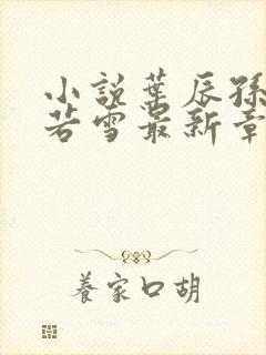 小说叶辰孙怡夏若雪最新章节阅读