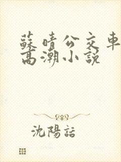 苏晴公交车被弄高潮小说