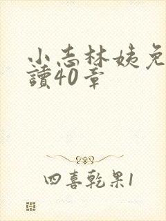 小志林姨免费阅读40章