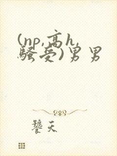 (np,高h,骚受)男男封面