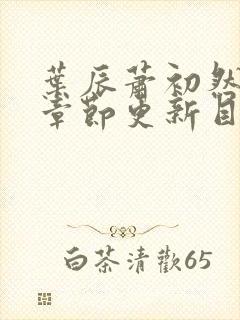 叶辰萧初然最新章节更新目录