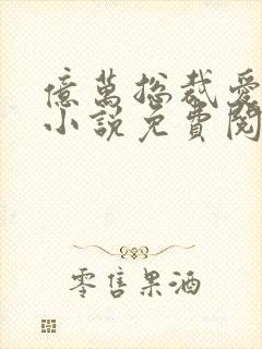 亿万总裁爱上我小说免费阅读全文