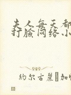 夫人每天都在线打脸网络小说