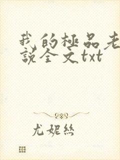 我的极品老婆小说全文txt