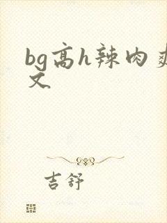bg高h辣肉爽文