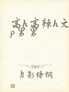 高h高辣h文np男男