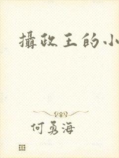 摄政王的小宠妃