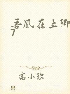 吾凰在上卿在下7封面