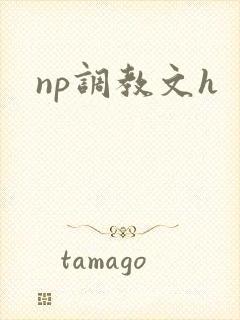 np调教文h