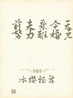 前夫哥今天也在努力离婚免费阅读