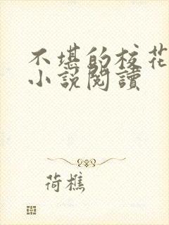 不堪的校花陈若小说阅读封面