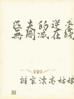 匹夫的逆袭小说无删减在线阅读封面