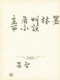 主角叫林墨的都市小说