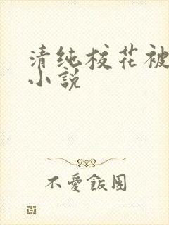 清纯校花被下药小说