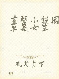 有声小说国民校草是女生