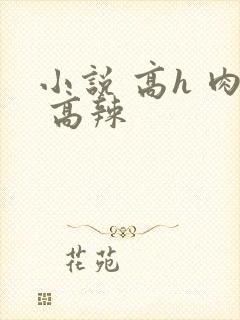 小说 高h 肉 高辣