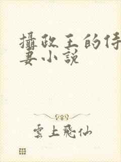 摄政王的侍爱逃妻小说