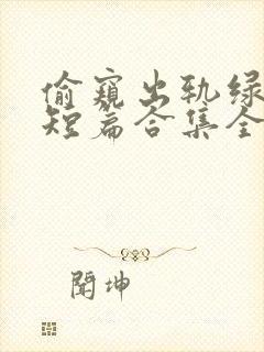 偷窥出轨绿帽癖短篇合集全文封面