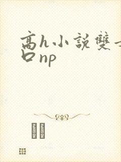 高h小说双女重口np