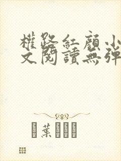 权路红颜小说全文阅读无弹窗