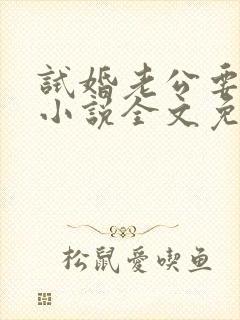 试婚老公要给力小说全文免费阅读