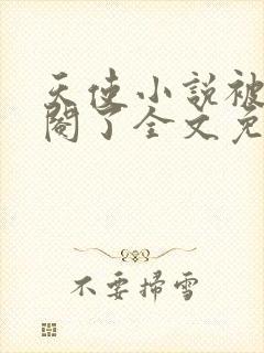 天使小说被女王阉了全文免费阅读