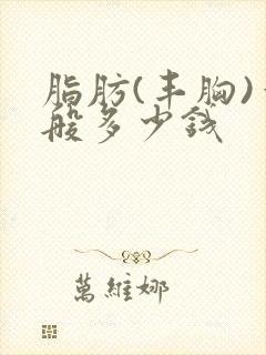 脂肪(丰胸)一般多少钱