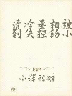 清冷丞相被欺负到失控的小说免费