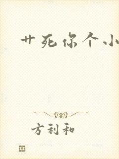 艹死你个小骚货封面