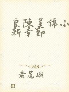 良陈美锦小说最新章节