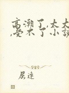 高潮了,太大了,受不了小说