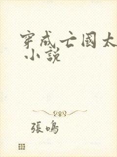 穿成亡国太子妃 小说封面