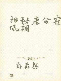 神秘老公宠妻请低调