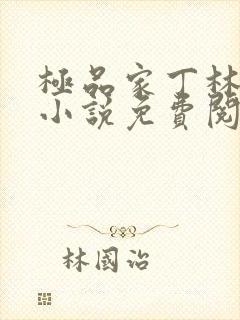极品家丁林晚荣小说免费阅读全文无删减封面