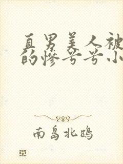 直男美人被欺负的惨兮兮小说