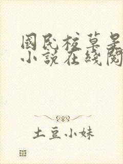 国民校草是女生小说在线阅读封面