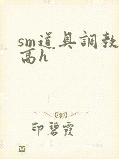 sm道具调教文高h