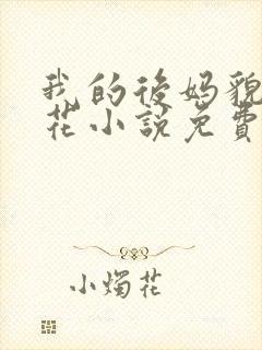 我的后妈貌美如花小说免费阅读全文无弹窗