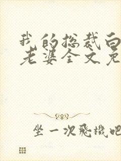 我的总裁白富美老婆全文免费阅读封面