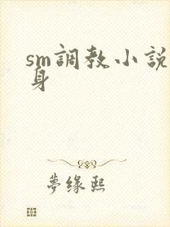 sm调教小说虐身