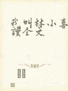 我叫林小喜全阅读全文