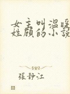 女主叫温暖男主姓顾的小说