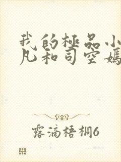 我的极品小姨叶凡和司空嫣的小说