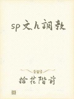 sp文h调教
