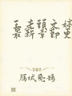 王老头文婷小说最新章节更新时间